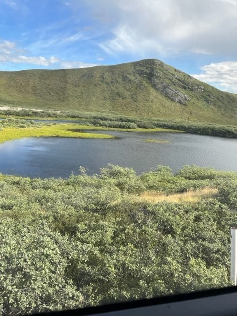 a5aeb35f-904b-46d0-8b3e-c3892dfa3e92_l.jpg (480×640)