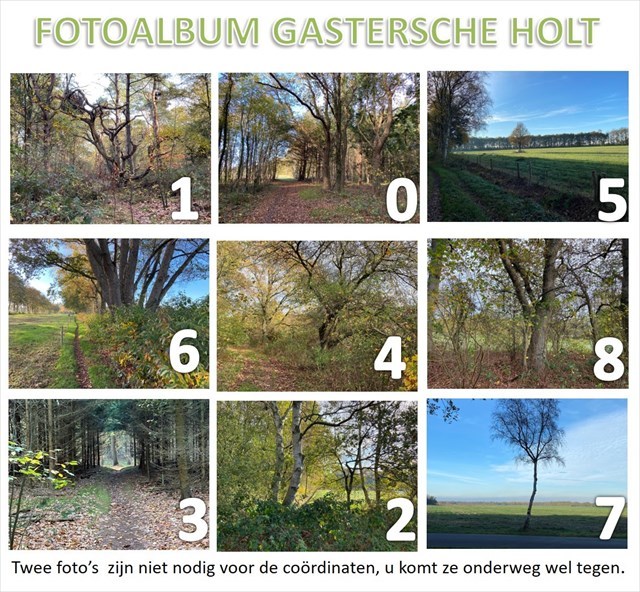 fotoalbum