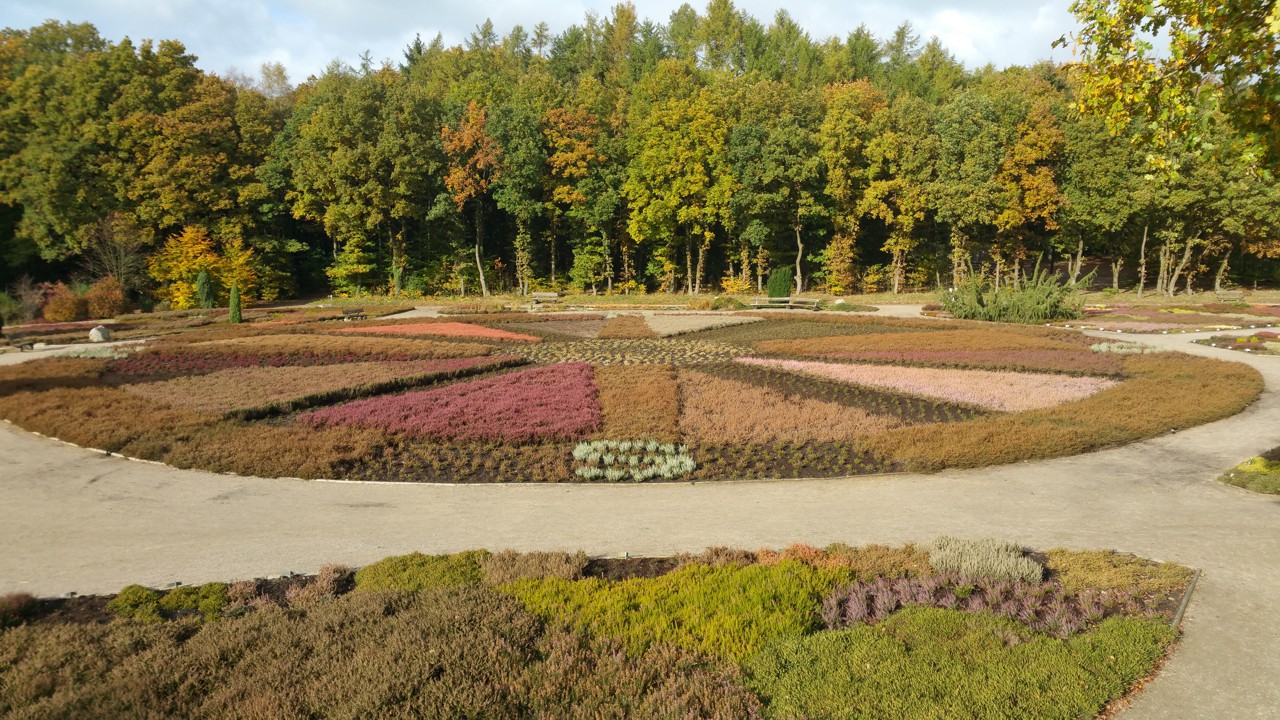 Bild vom Heidegarten