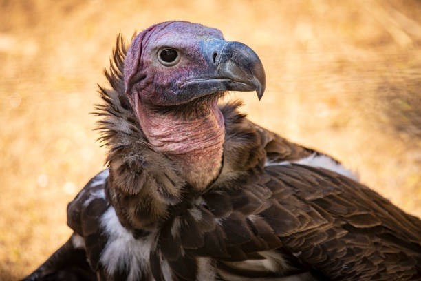 V celé své kráse :-)