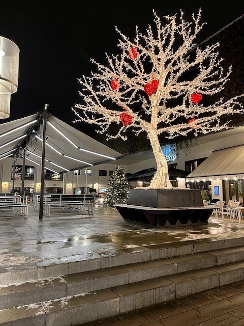 a723fa71-4568-4b30-b080-c9025f2ed813_l.jpg (480×640)