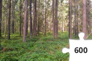 Jigsaw puzzle - Pedesi Puzzle #6 - Gumi-Blommas skooji