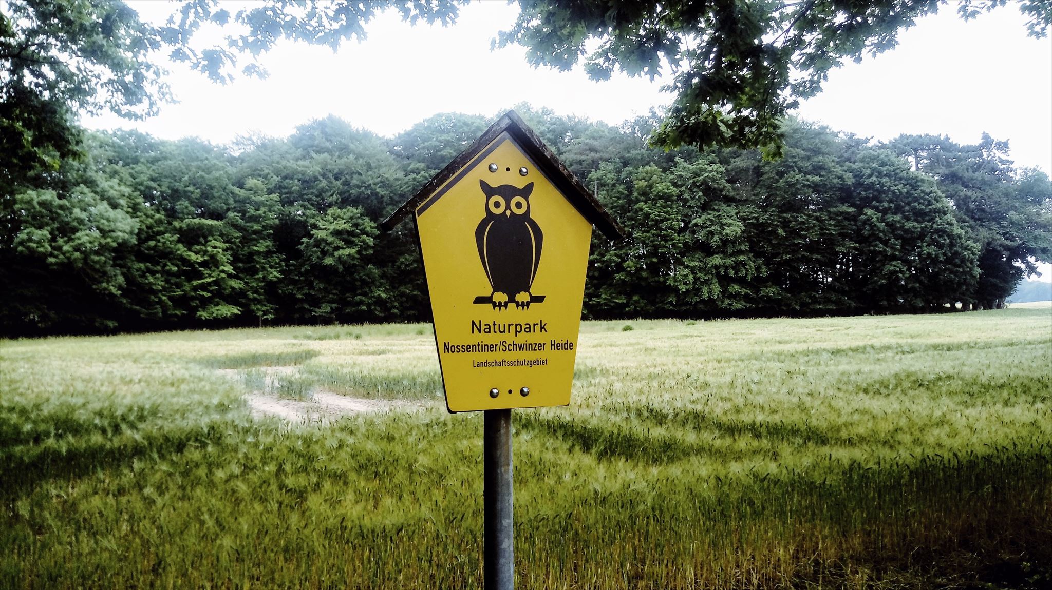 Naturpark Nossentiner/Schwinzer Heide