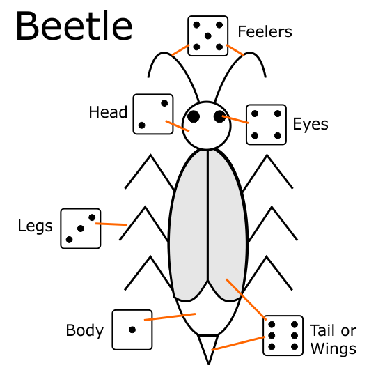 Beetle