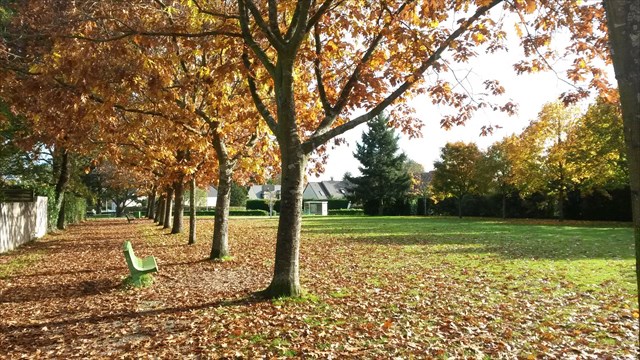 Le parc en automne