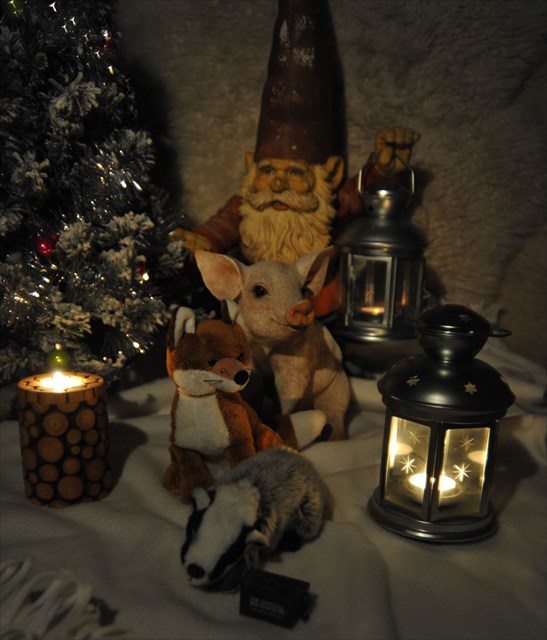 Het hele taem van 2016 op weg naar de bonus cache