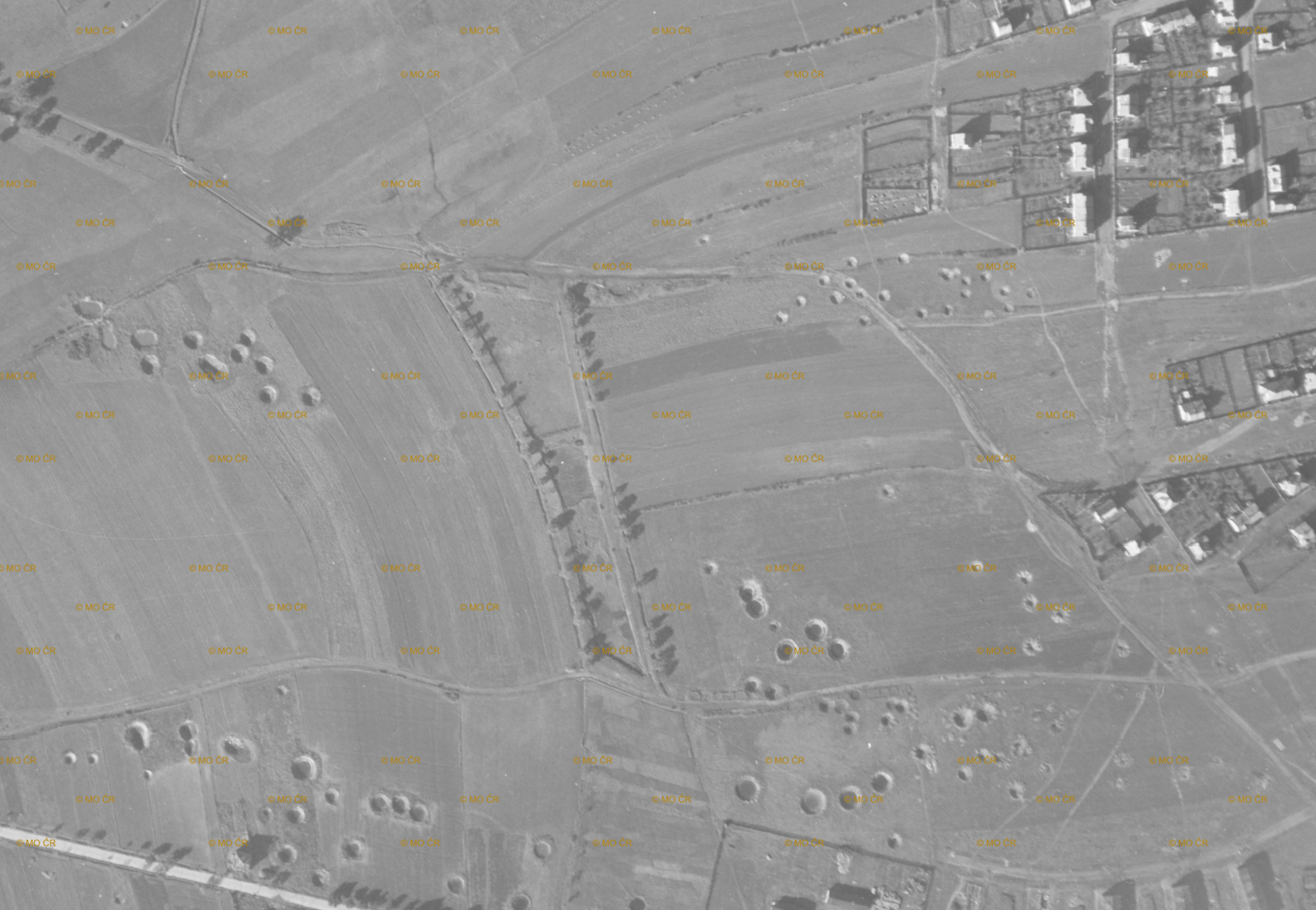 Ortofoto 1946