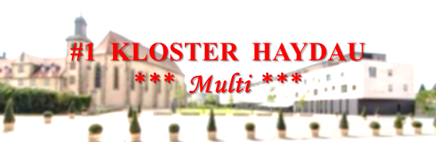 #1 Kloster Haydau: Multi