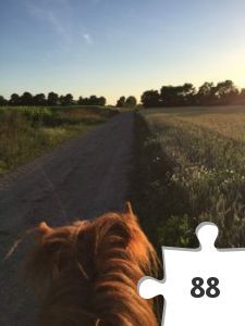 Jigsaw puzzle - GC nr 6