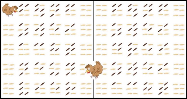 Auch ein blindes Huhn findet mal ein Korn….