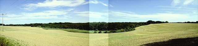 Panoramaaufnahme NSG Brantensee 2020