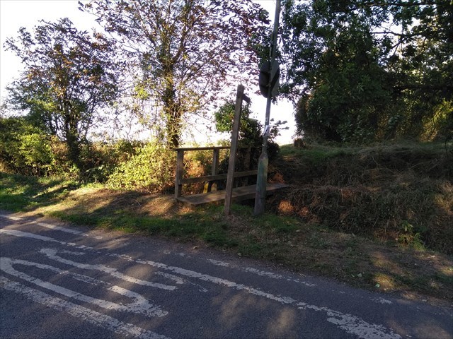 Little Bridges Shelton