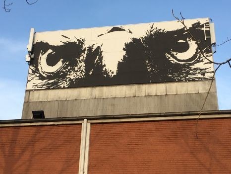 ab6d2536-b976-4635-b0a2-7eb4bb1883ac_l.jpg (466×350)