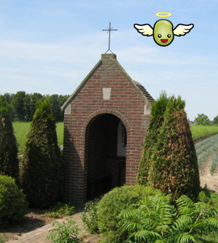 HBC