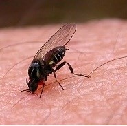 ad089b0a-d9bc-4af3-9ca8-40e27e6cfa2e_l.jpg