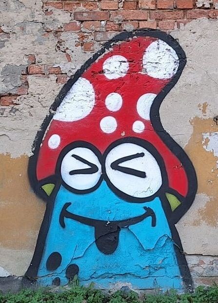GrzybXD