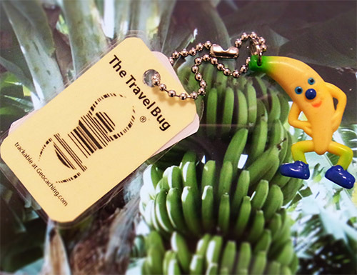 Minz TB - Banane