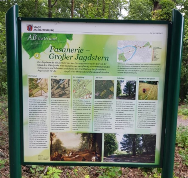 Großer Jagdstern - Info