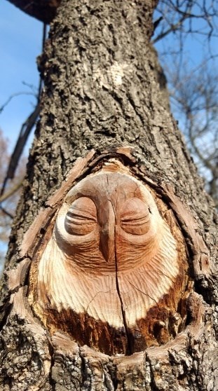 Park Bohumila Hrabala - sova