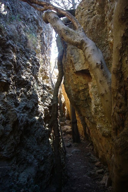 Escletxa de La Figuera