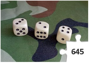 Jigsaw puzzle - #57 Butterfly North