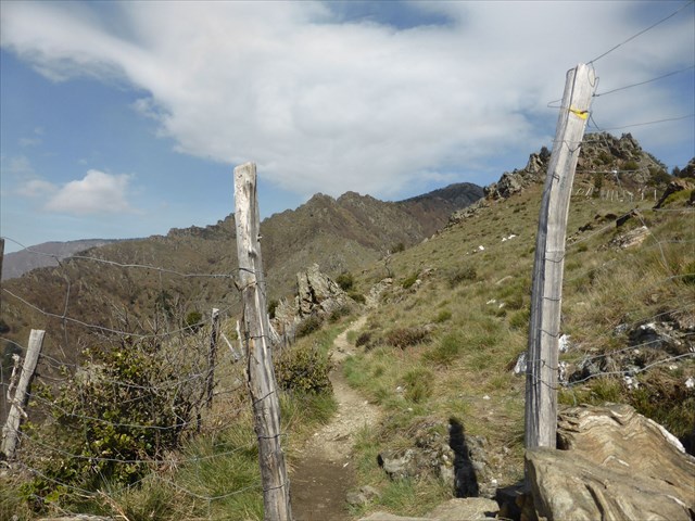 Géocaching Mont Aigoual