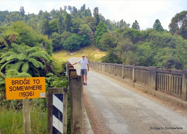 Aotuhia Bridge to Somewhere
