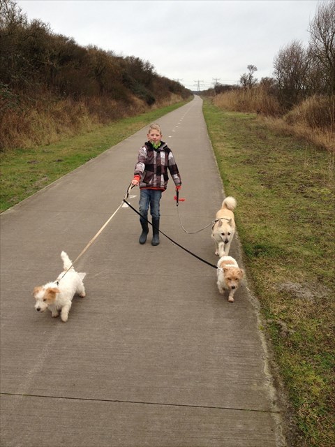 MisterT. met Ollie, Diesel en Felix MisterT. met Ollie, Diesel en Felix