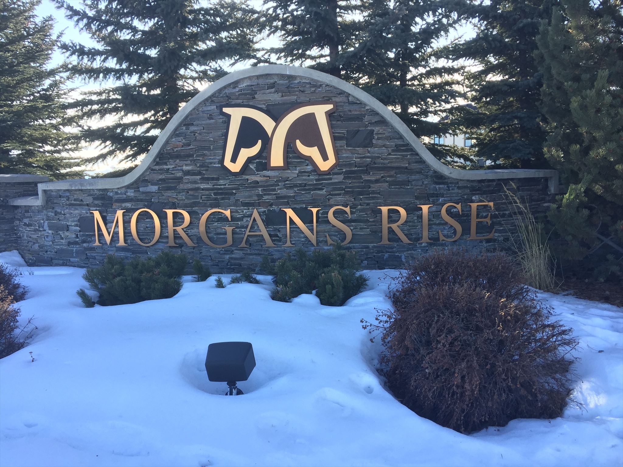 GC8MMNF Morgan's Rise - 2020SF (Traditional Cache) in Alberta, Canada ...