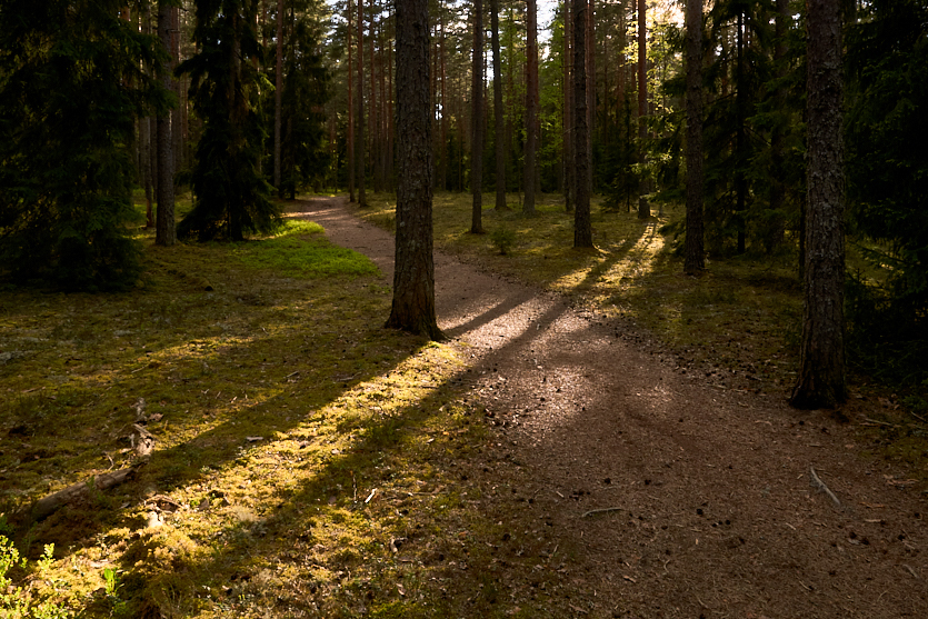 Nummipoluilla 7 Nummipoluilla 7