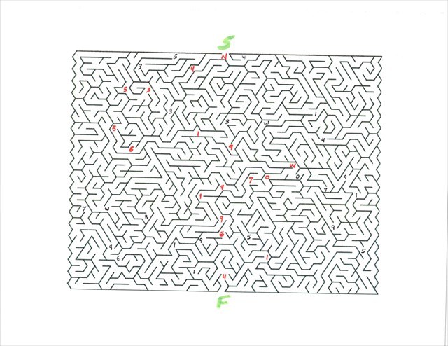Maze Puzzle