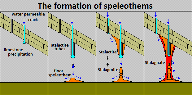 The formation of speleothems