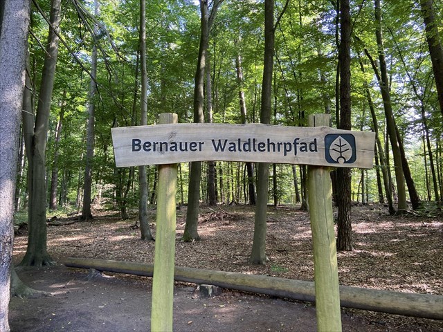 Waldlehrpfad