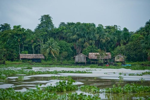 Zápasení s krokodýlem