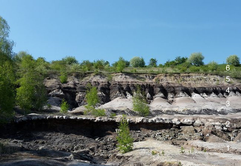 Tertiärprofil am Fuchsberg
