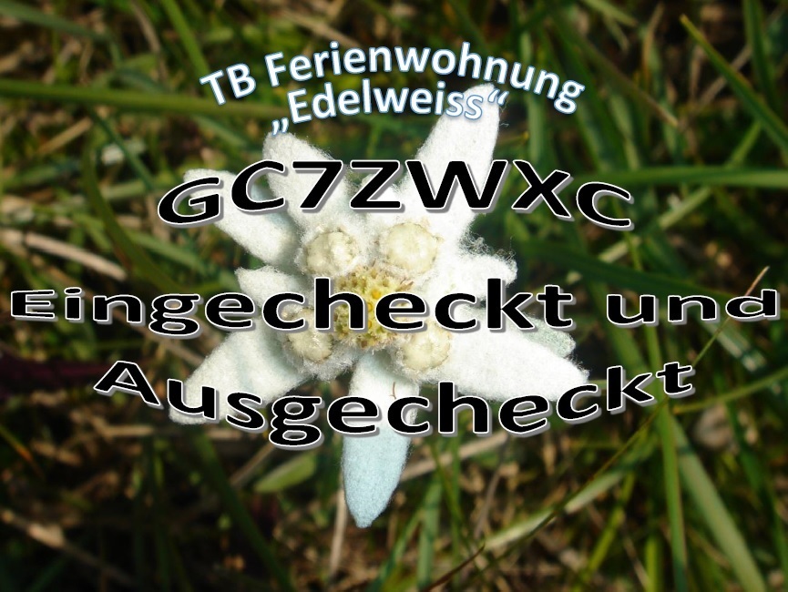 TB Ferienwohnung