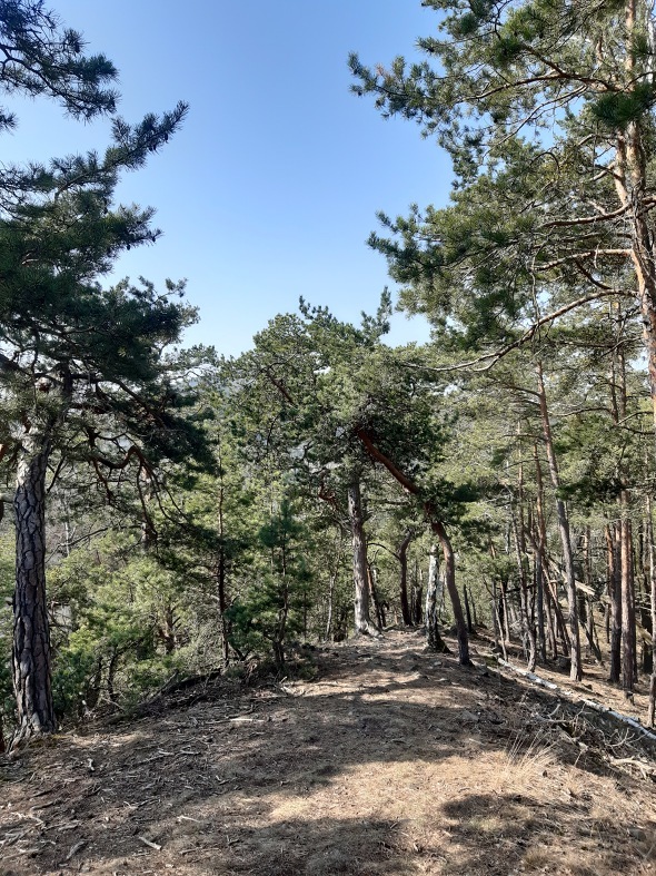 Hřebínek Na Čihadle