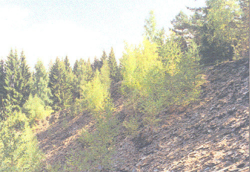 Lokalita Černý důl (Black Hill)