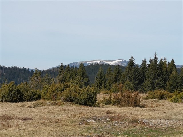 Pohľad na Veľký bok cestou na Panskú hoľu 8.5.2020