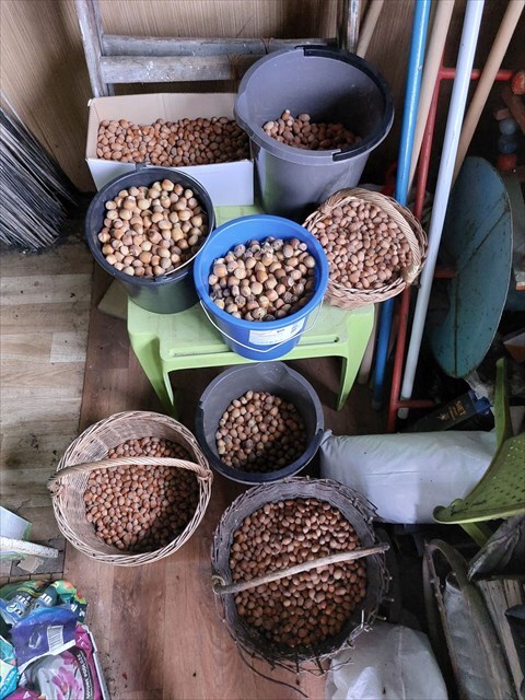 https://s3.amazonaws.com/gs-geo-images/b7015465-05b5-467d-8193-02589f88be67_l.jpg