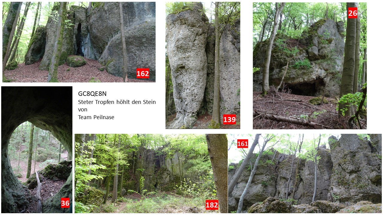 Bildersuche Z1 bis Z6