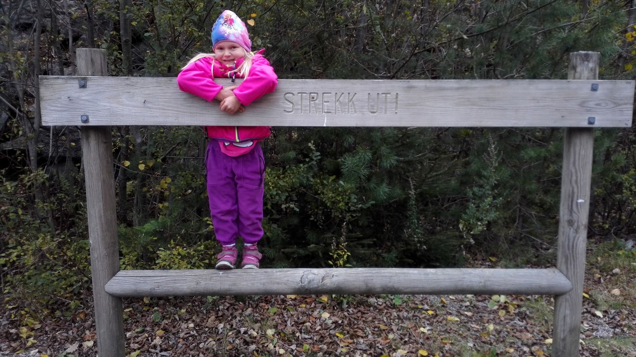 Strekk ut etter FTF jakten