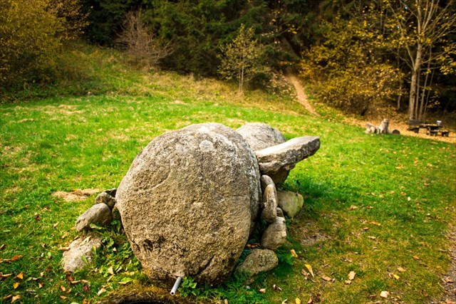  Die Gigantische Steinbiene 