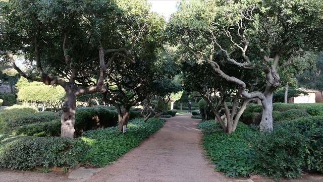 Jardins de Marivent Jardins de Marivent