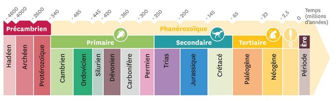 Temps géologiques