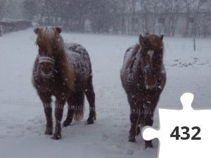 Jigsaw puzzle - Hempla fra Reskelund og Freyja fra Mosekær