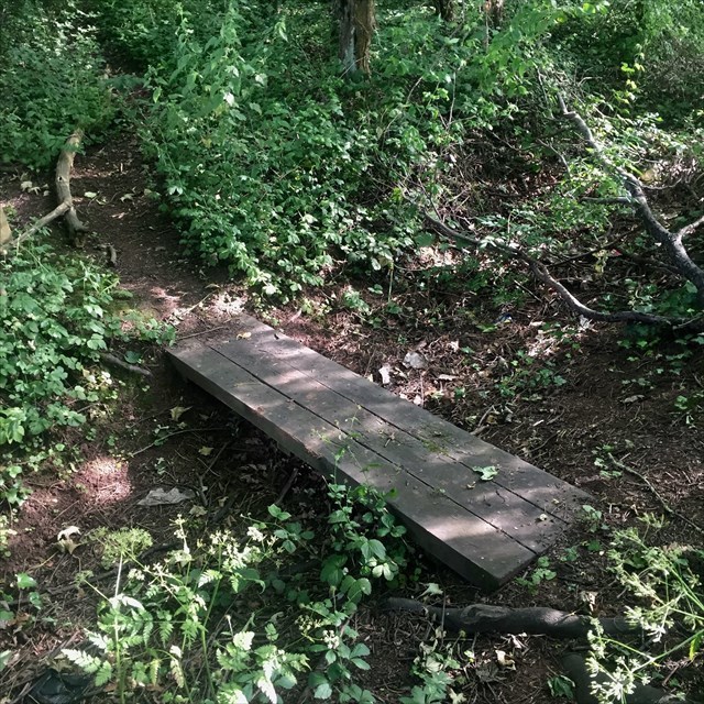 A very simple footbridge over a ditch at Gordano Services. 