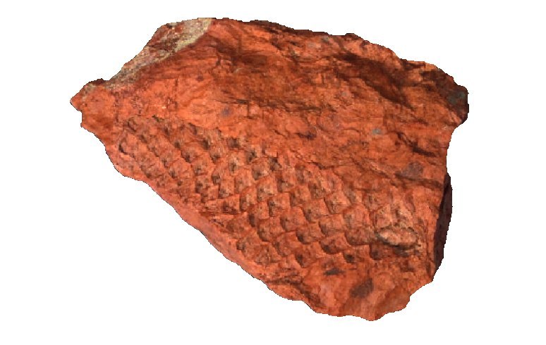 Schiste rouge.
