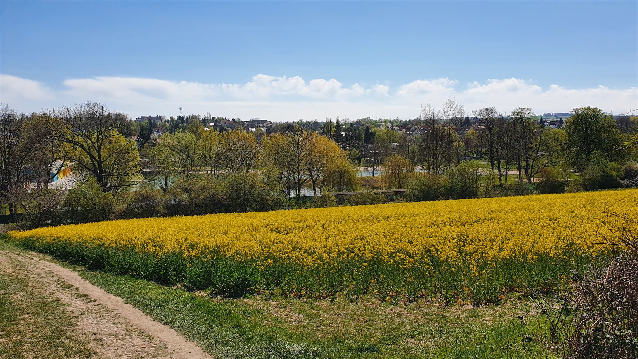 Ausblick auf das Mocki - I