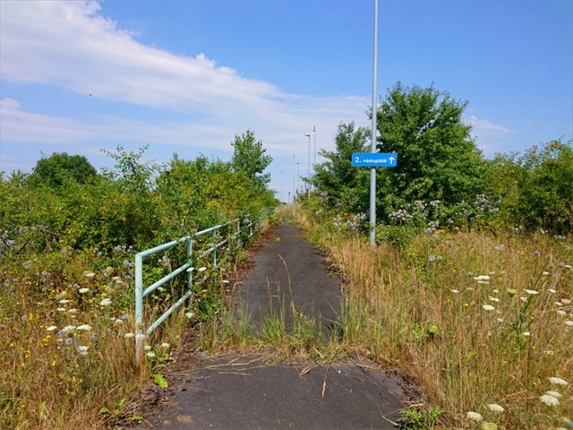 Zarůstající přístup na druhé nástupiště (klikněte pro zobrazení v plné velikosti) Pristup nastupiste 2022